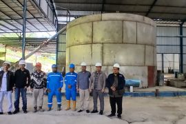 Pemerintah Aceh pastikan pengelolaan pinus di Gayo Lues sesuai aturan