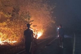 BMKG Jayapura catat 1.862 titik api terpantau di Tanah Papua
