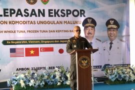 BKHIT Maluku sebut nilai ekspor perikanan capai Rp881 miliar