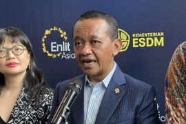 RI still negotiating electricity price for ASEAN Power Grid