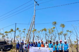 PLN melakukan uji jaringan listrik di daerah pedalaman Sumba Timur