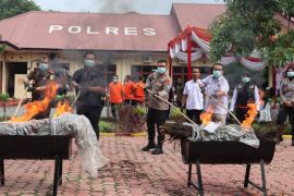 Polres Langkat musnahkan barang bukti narkotika