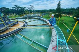 PLTA Inalum boyong 8 penghargaan ENSIA 2026