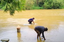 Pemkab uji kualitas air sungai di Aceh Jaya diduga tercemar pengolahan emas