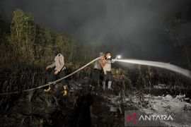 Polda Kalsel berupaya cegah karhutla dekati RSJ Sambang Lihum