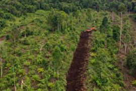 Perkuat pengendalian karhutla di Muba, PT RHM bangun sekat bakar 890 meter
