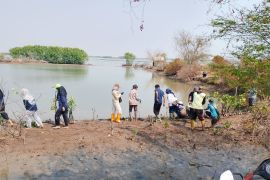 UIN Walisongo dorong kolaborasi lintas institusi untuk tanam 1.000 mangrove di pesisir Mangkang Kulon