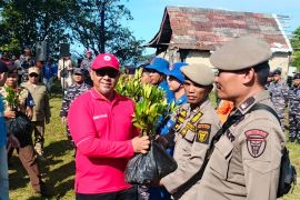 Investasi Ekologis untuk Nelayan: PT Semen Padang Bersama Kodaeral II Hadirkan 1.000 Mangrove di Pantai Manjuto