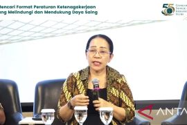 Pasar tenaga kerja butuh regulasi adaptif demi ekonomi RI