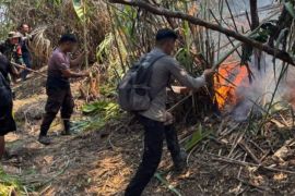 Polda: 2.653,76 hektare hutan dan lahan di Sulut terbakar hingga September