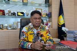 Pemprov Papua bentuk tiga OPD baru perkuat tata kelola daerah