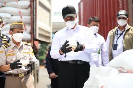 Mentan sebut masuknya beras ilegal rugikan kerja keras 115 juta petani