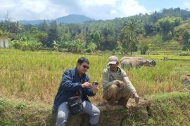 Menembus pegunungan Garut Selatan, Mantri BRI setia layani warga