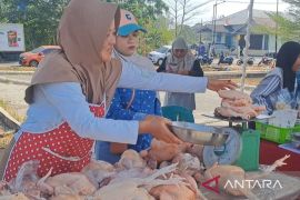 Pangkalpinang gelar pasar murah daging ayam