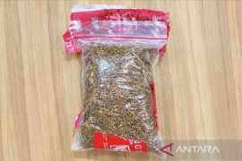 Tembakau sintetis Jakarta: Dua pria diciduk saat transaksi 102 gram di Jaksel