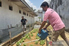 Rutan Kendari bina WBP kelola lahan produktif dukung ketahanan pangan
