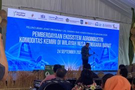 Kemenkeu meminta NTB perluas pasar global kemiri
