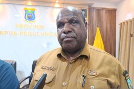 Pemprov Papua Pegunungan sebut bandara jadi penggerak utama ekonomi