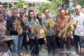 Pemkot Yogyakarta optimalkan keterbatasan lahan untuk pertanian terpadu