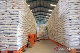 Bulog jamin stok beras aman hingga akhir 2026 di Kaltim dan Kaltara