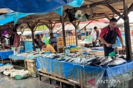 Hasil tangkapan ikan nelayan di PPN Aceh Timur capai 25,89 ton