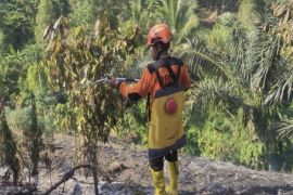 Kabupaten Parigi Moutong minta bantuan BNPB sarana siaga darurat karhutla