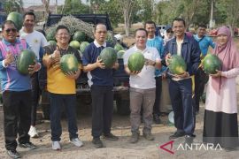Bangka Tengah jadikan pasar tani ruang pemasaran produk lokal