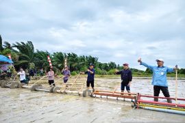 BRMP Aceh terapkan metode tanam padi modern seluas 314 hektare di Aceh Jaya