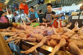 Realisasi KUR produktif di Kalbar capai Rp3,55 triliun