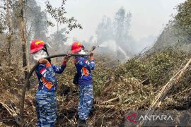 Satgas Darat Lanud Sjamsudin Noor perkuat pembasahan lahan gambut