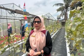 Distan Padang : Pertanian jadi alternatif kerja bagi generasi muda
