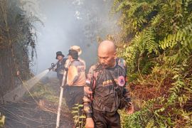 Riau reports zero active forest and land fires