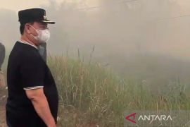 Pemkab Kotim tetap optimalkan penanganan karhutla meski mulai hujan