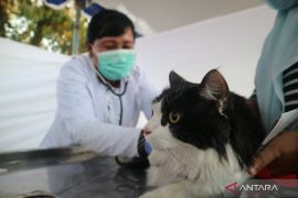Karantina NTB memperketat pengawasan hewan cegah rabies masuk Lombok