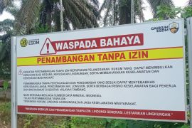 Tambang ilegal jadi sorotan, Kementerian ESDM turun langsung ke Tapsel