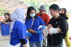 Karantina Sulut sebut pencegahan rabies butuh kolaborasi para pihak