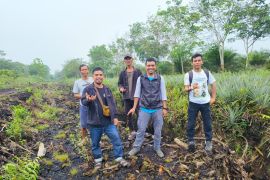 Gempur Kalimantan Barat ikut bangun sekat kanal di lahan gambut pasca karhutla