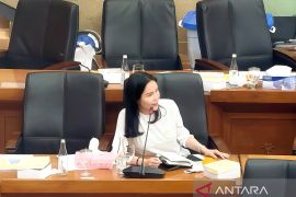 Anggota DPR dorong penguatan sistem listrik hadapi cuaca ekstrem