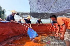 Ditjen Pemasyarakatan Kaltim bina vokasi WBP lewat perkebunan dan perikanan darat