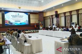 Govt to aid 100-hectare cocoa plantation in Southwest Papua
