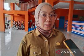 Kasus ISPA dan diare di Pulang Pisau meningkat selama kabut asap