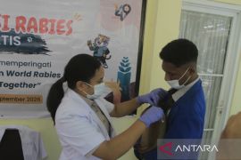 Barantikan suntik vaksin gratis 50 ekor HPR di Kupang