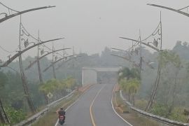 Dinkes Kepri imbau masyarakat waspadai dampak kabut asap terhadap kesehatan