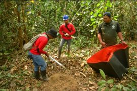 BKSDA Kaltim dan mitra bangun kubangan air cegah satwa dehidrasi saat kemarau