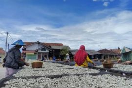 Pemkot Bandarlampung ajukan tiga kawasan jadi kampung nelayan merah putih
