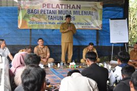 Pemuda Aceh Tengah dilatih budidaya tanamam kopi
