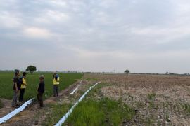 Ministry deploys three pumps to irrigate drought-hit Bekasi farmland