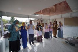PLN sokong perempuan desa di Deli Serdang kembangkan usaha olahan ubi