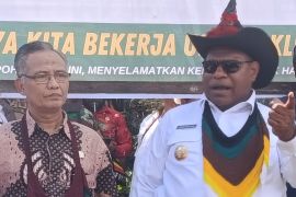 UMKM jadi solusi pemda di Papua Pegunungan ciptakan lapangan kerja