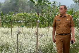 Dispertan Garut harap hujan mulai turun bisa selamatkan sawah kering
